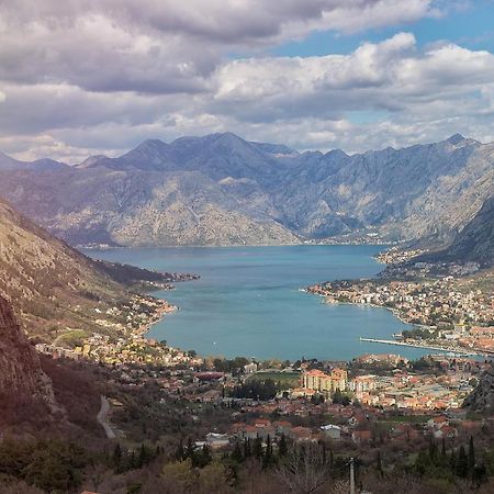 The Nest - Urban Family Place Kotor Buitenkant foto